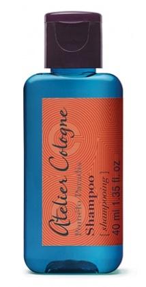 01603 SHampon Pomélo Paradis 40ml.